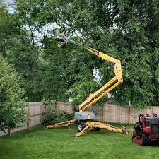 Best Aeration Services  in Sunset Hills, MO